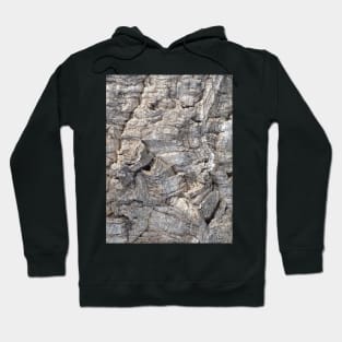 Cork Oak Tree Bark Texture 2 Hoodie